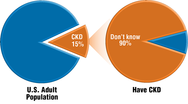Pie Chart Chronic Kidney Disease