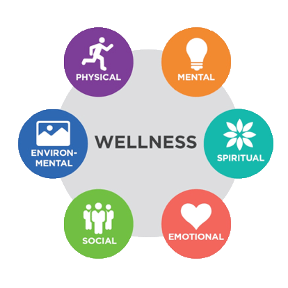 What is Wellness? - Global Wellness Institute